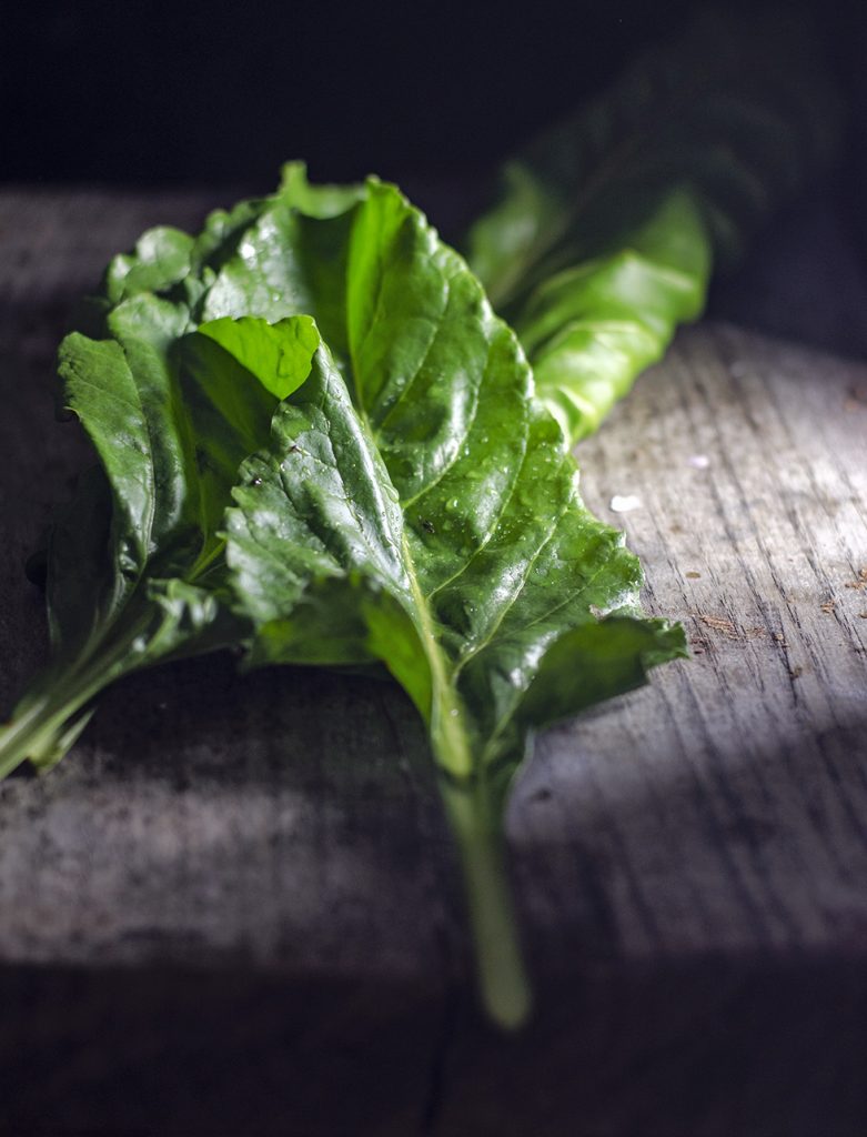 Frunze de spanac peren/mangold